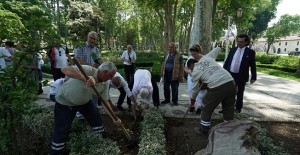 Isparta'dan götürülen güller Gülhane...